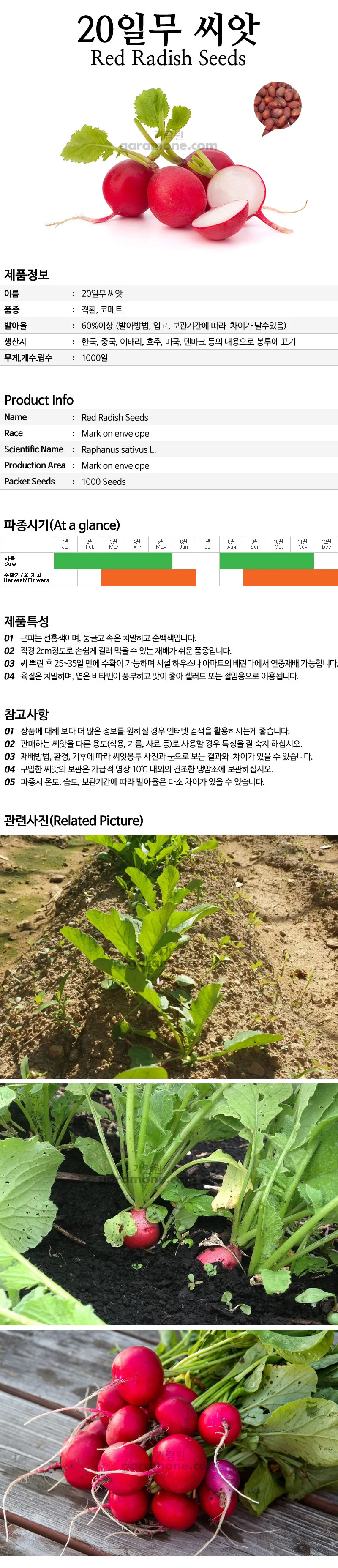 래디시 재배 직파 요령 솎아주기 토양 pH 맞추기_8
