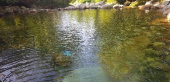 2025 여름휴가 계곡 추천 BEST 5 [+숨겨진 계속 명소]