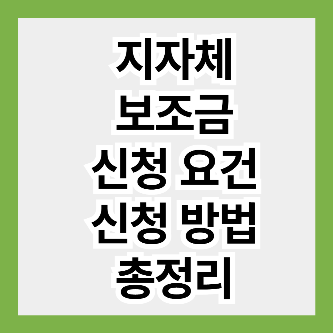 지자체 보조금 신청 요건 신청 방법 신청 대상 절차 총정리