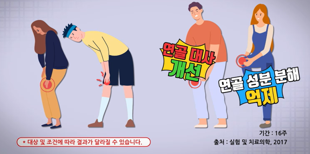 프로테오글리칸