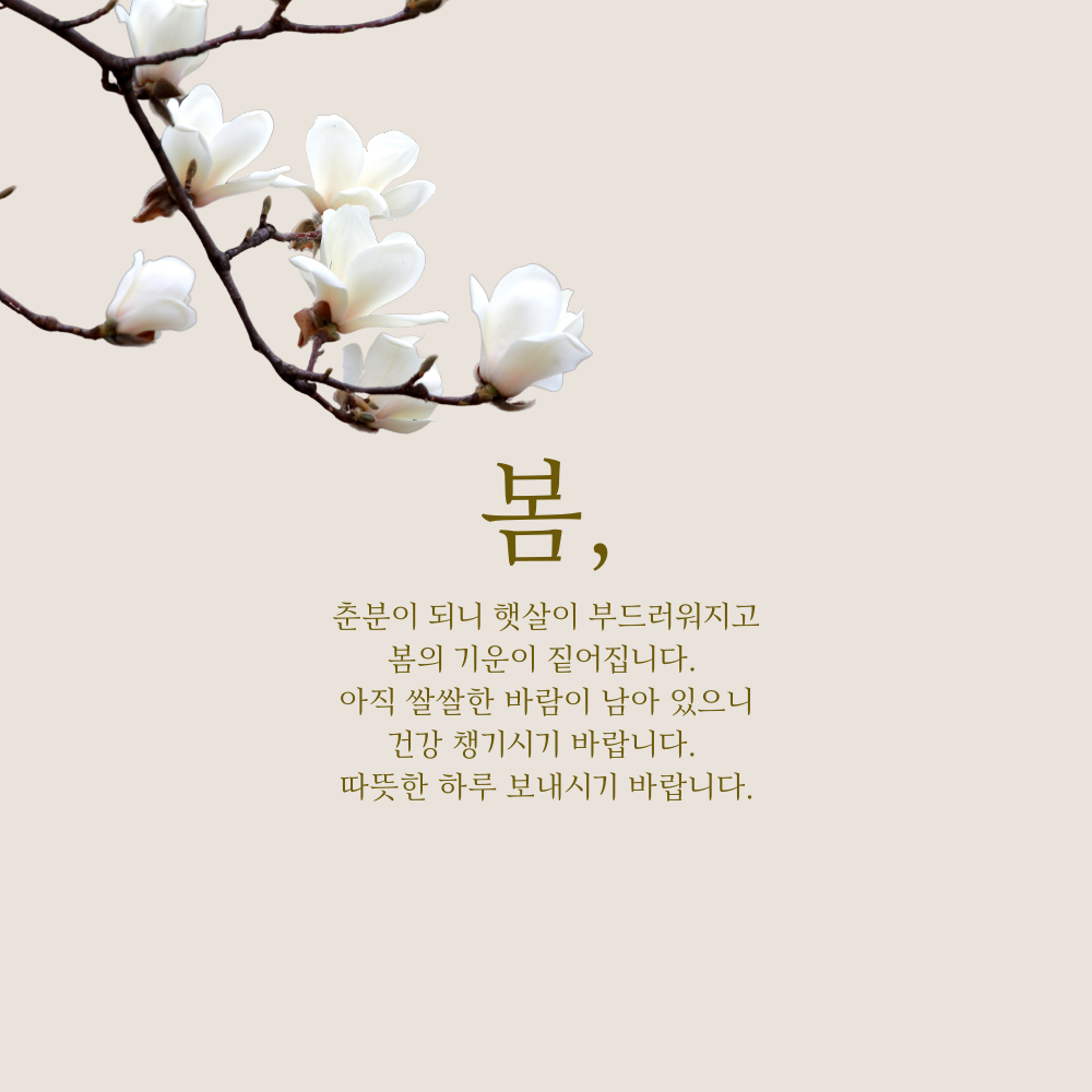 춘분 인사말 봄 안부 인사글귀 좋은 3월 인사이미지 문구 모음