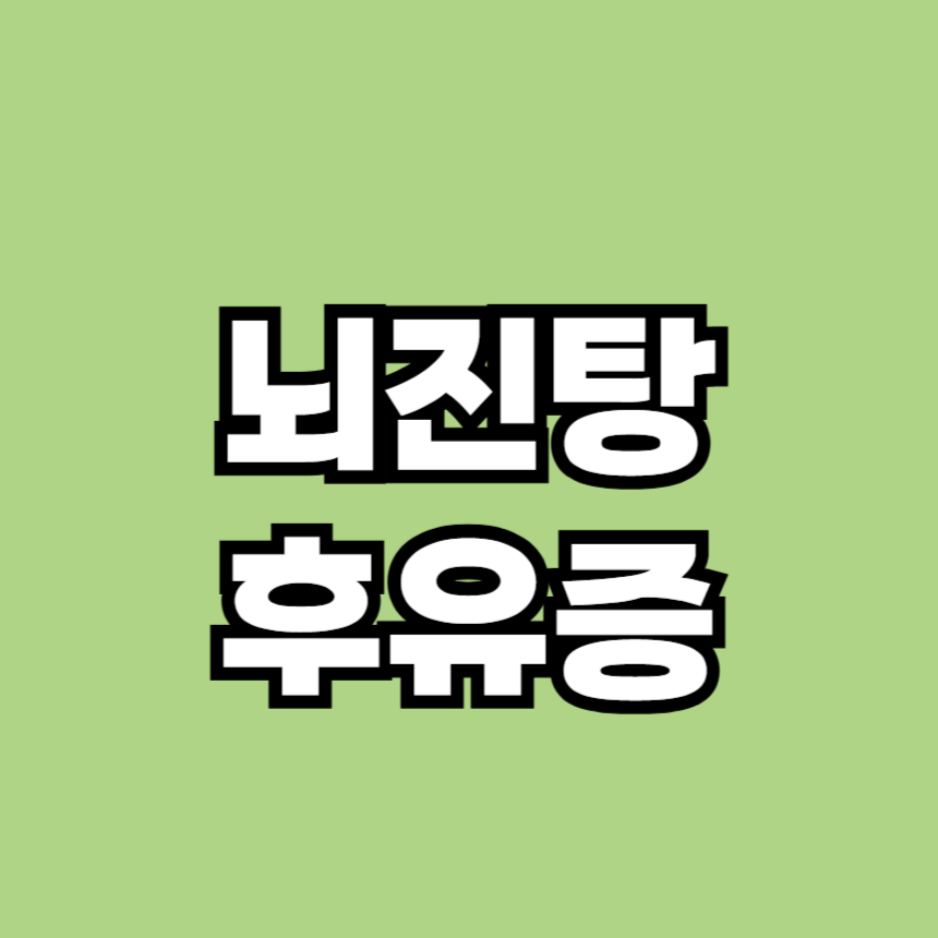 뇌진탕 후유증