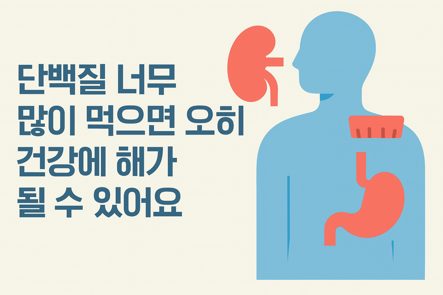 단백질 과다 섭취로 인한 신장 부담과 소화 장애를 묘사한 일러스트