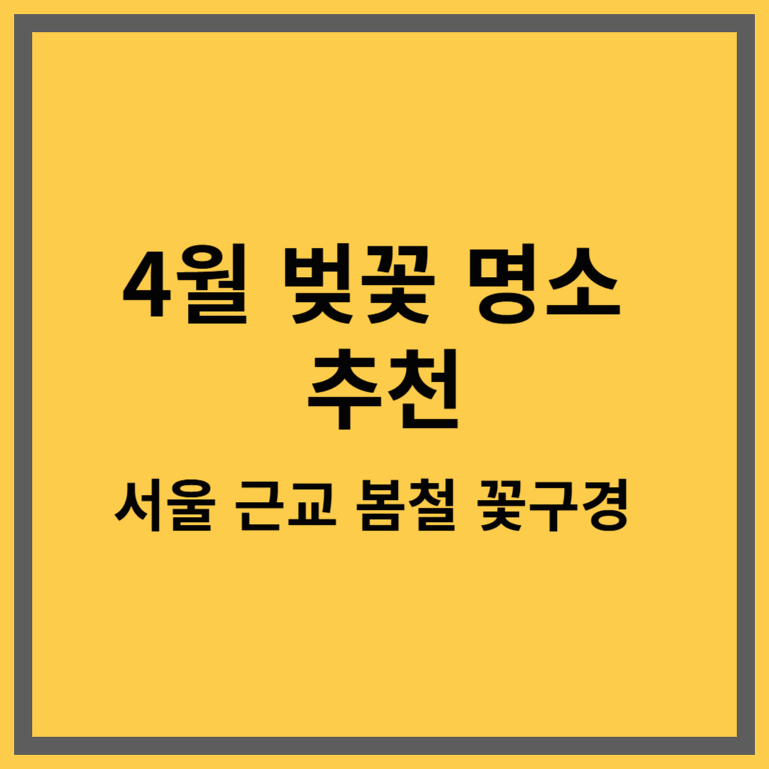 4월 벚꽃 명소 추천|서울 근교 봄철 꽃구경 가볼만한 곳