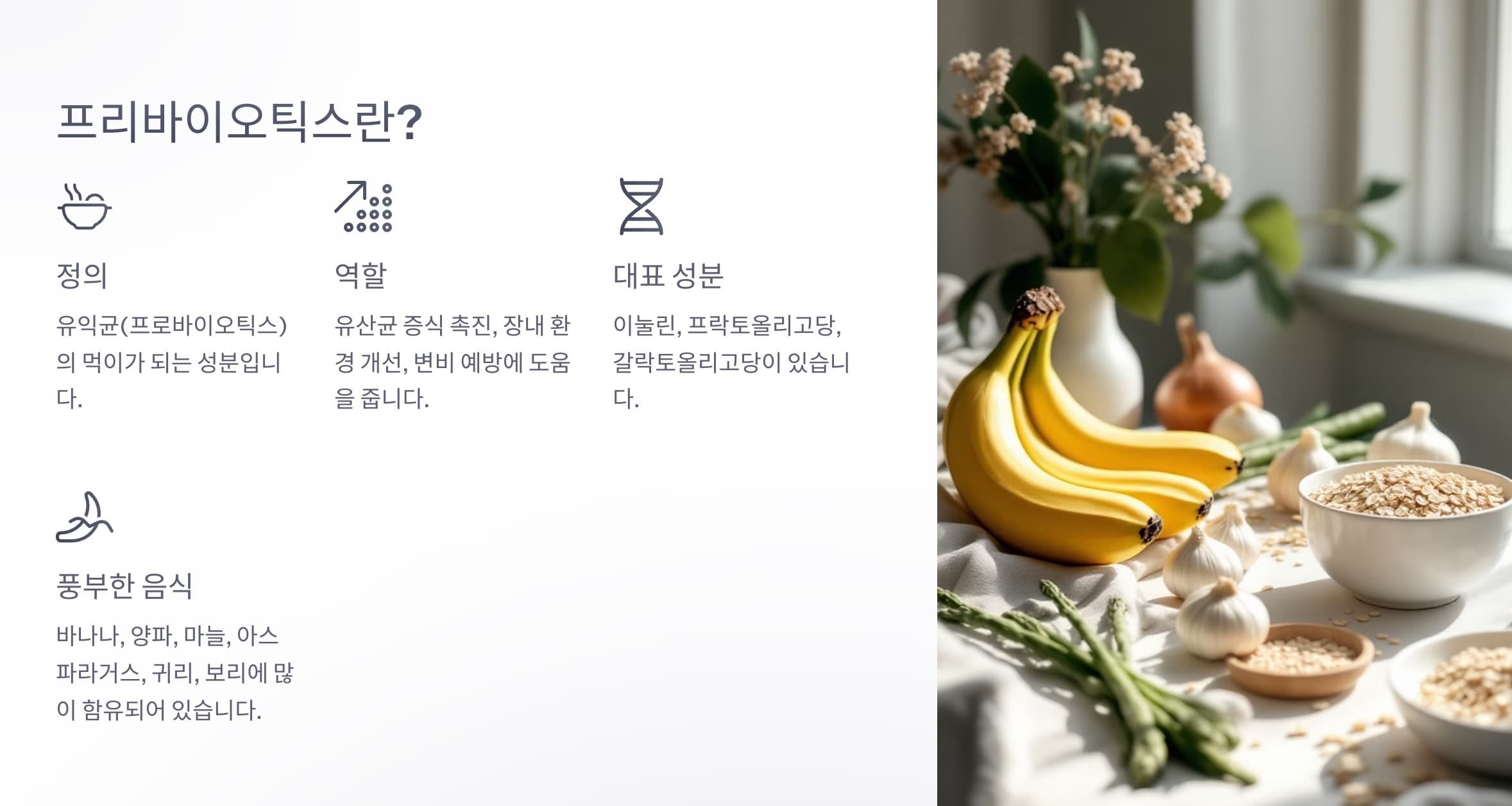 프리바이오틱스의 정의, 역할, 대표 성분과 함유 식품을 요약 정리한 다이어그램