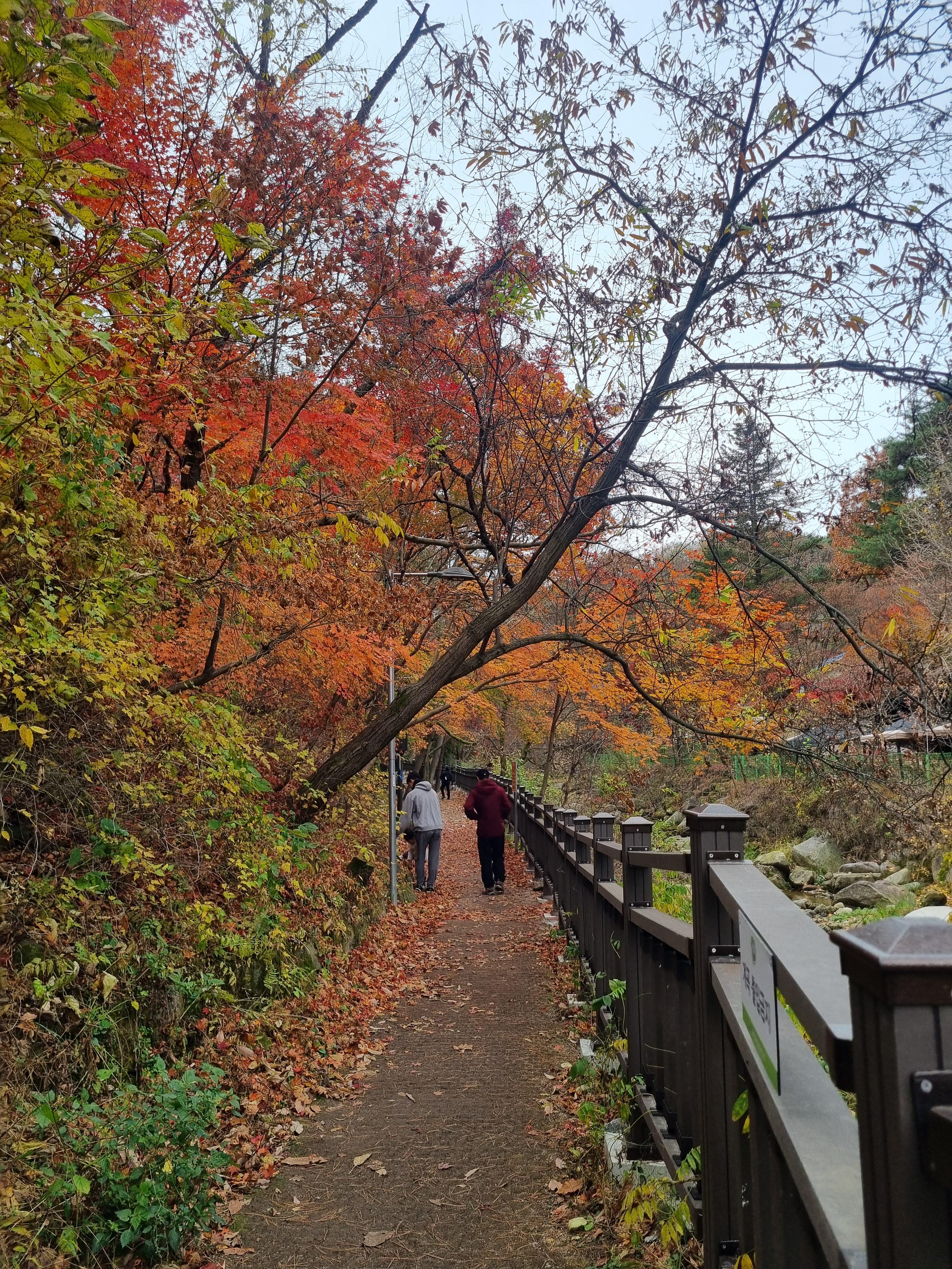 우이동 북한산 둘레길 단풍사진