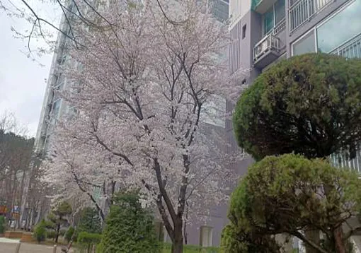 뱃들공원