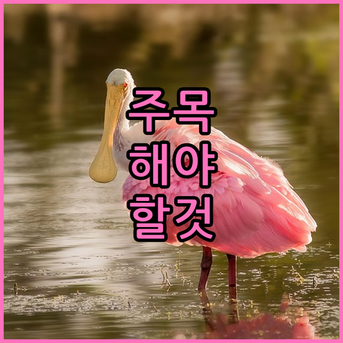 강서구 대형 가전제품 무상수거 이렇게..