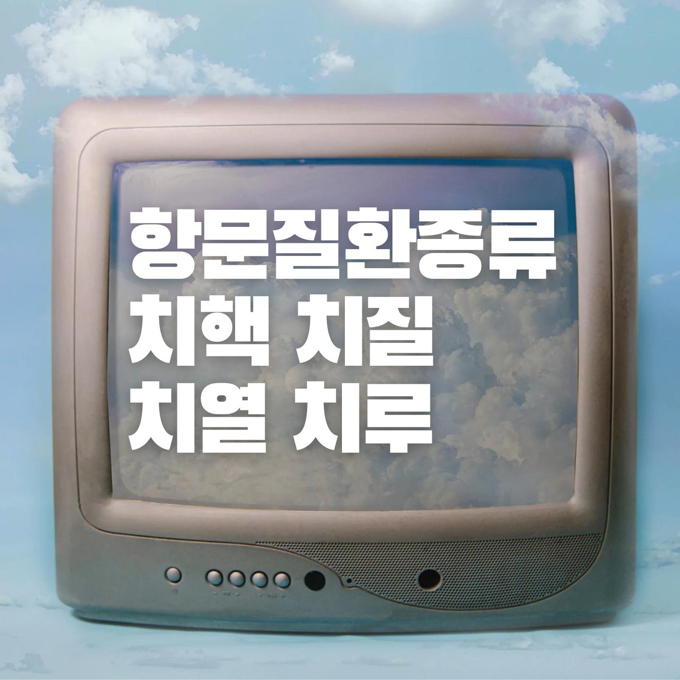 항문질환 치핵 치질 치열 치루