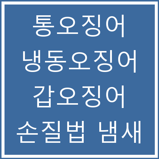 통오징어 냉동오징어 갑오징어 손질법 냄새 제거 및 껍질 벗기는 법
