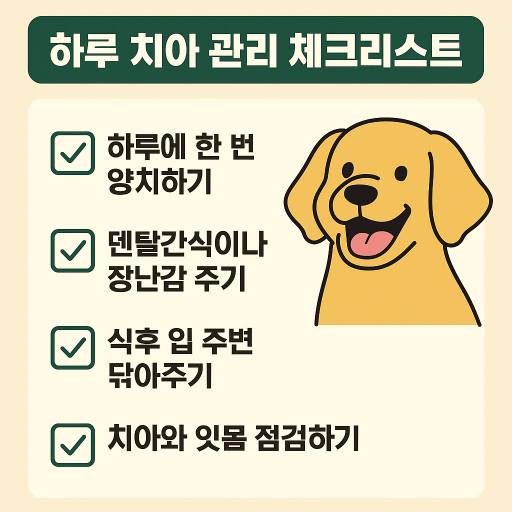 치석&middot;구취 없는 강아지, 치아 건강 습관 만들기 가이드