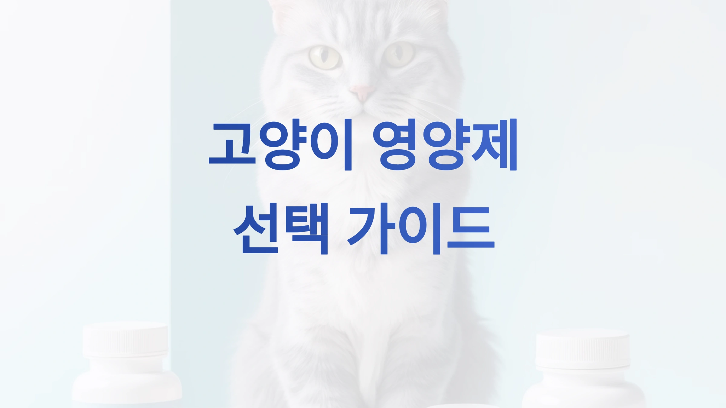 고양이의 영양 요구 사항