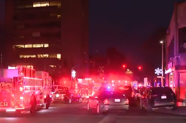 미국 브라운대학교