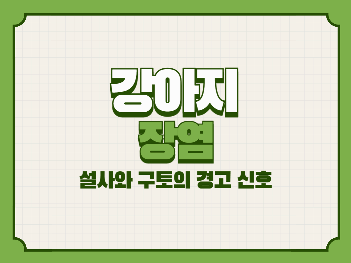 강아지 장염 – 설사와 구토의 경고 신호