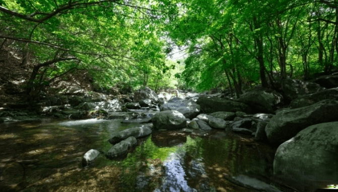 시원한 계곡 풍경