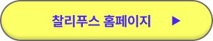찰리푸스 내한 공연