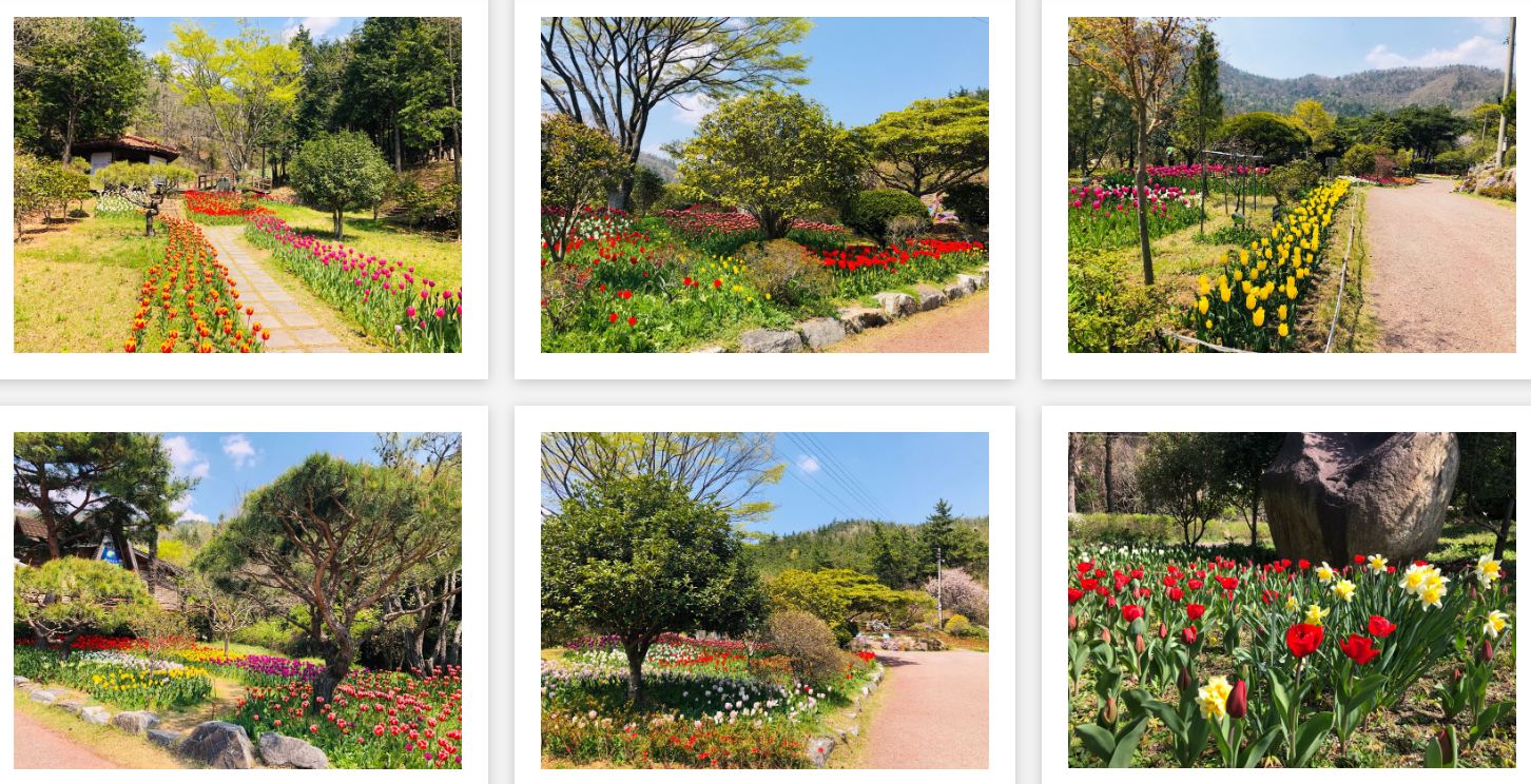 장흥 하늘빛수목원 튤립축제 입장료 주차 글램핑 총정리
