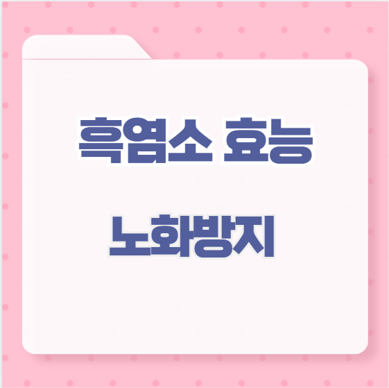 흑염소 효능 노화방지