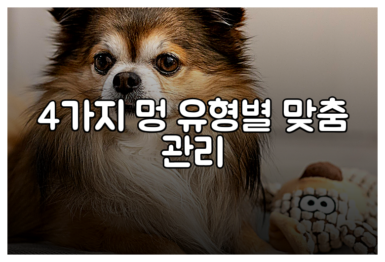 4가지 멍 유형별 맞춤 관리