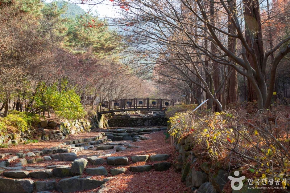 대전근교 주말나들이 상소동 산림욕장