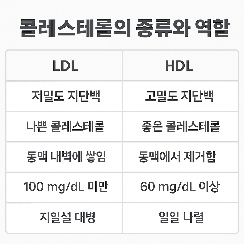콜레스테롤의 종류와 역할