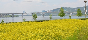 5월에 인기좋은 전국축제