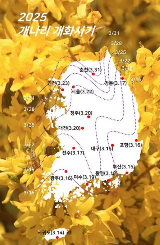 2025년 개나리 개화시기 및 추천명소