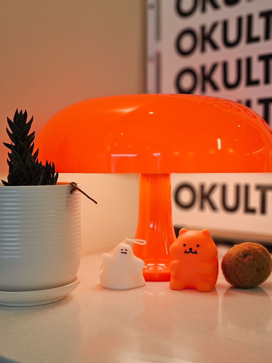 용인 수지 오쿨토