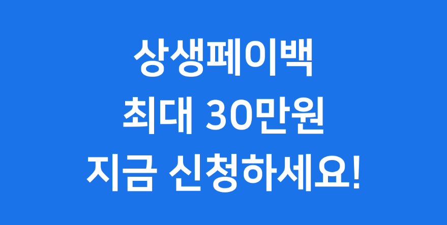 상생페이백