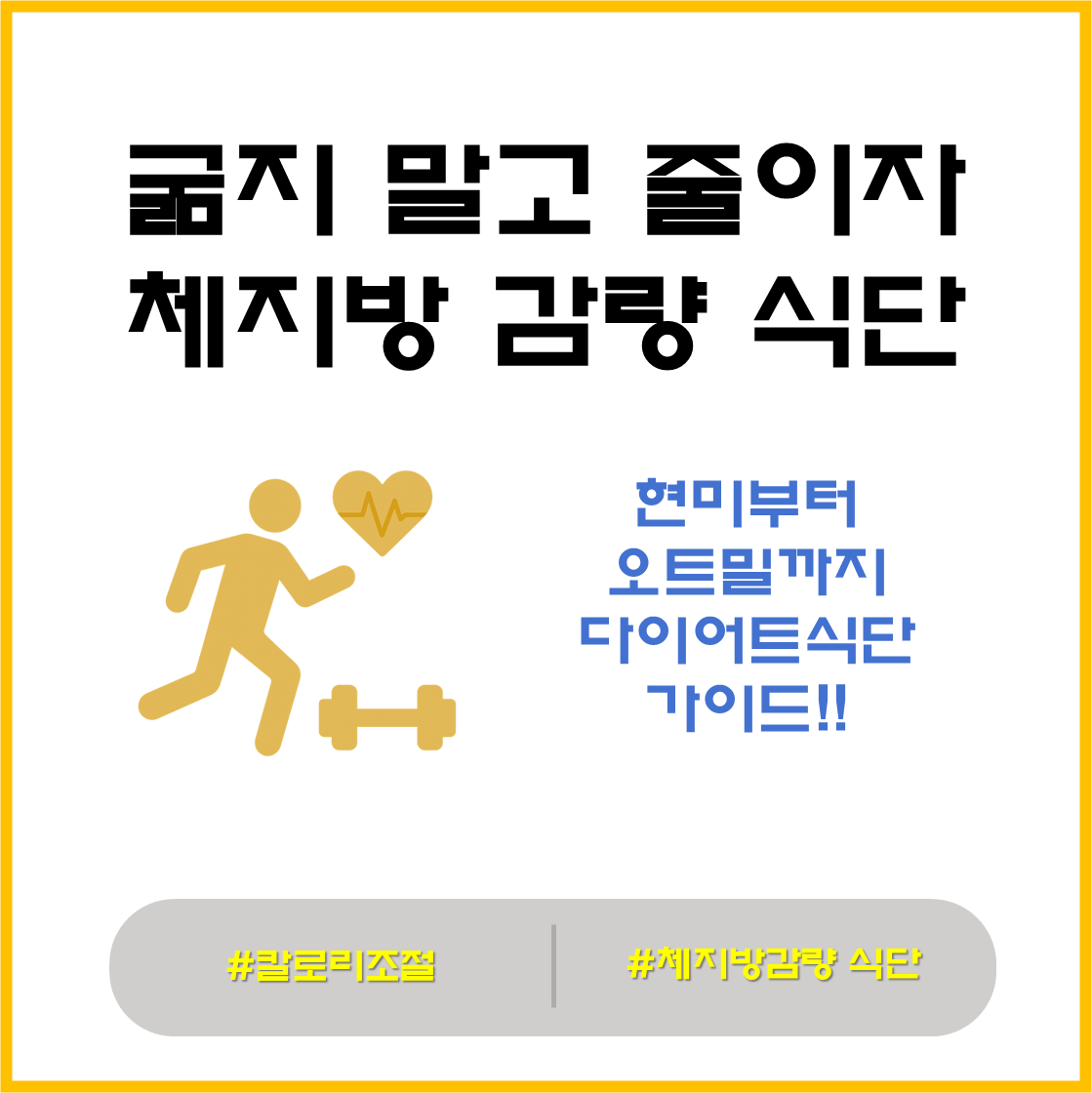 체지방감량 식단