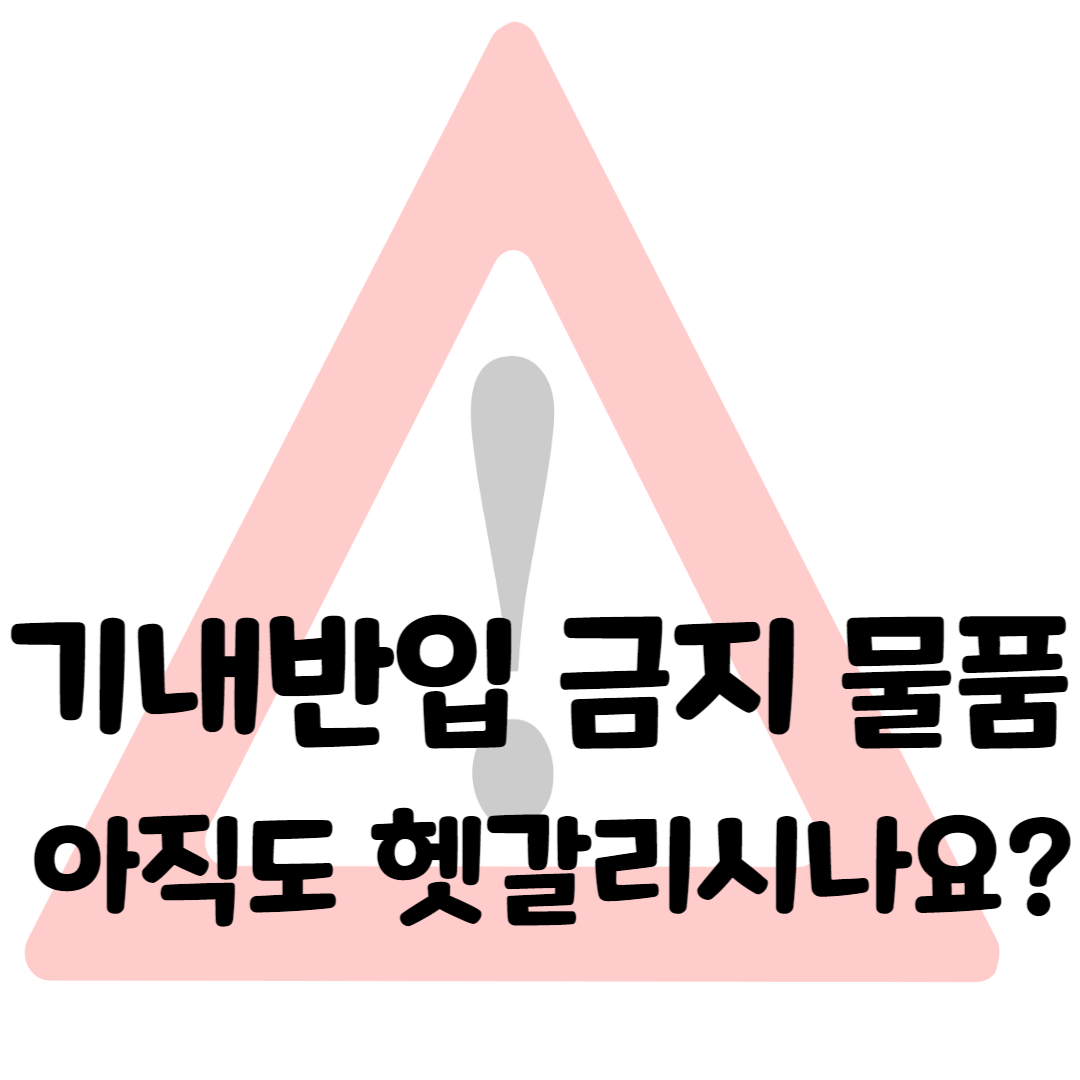 기내반입 금지