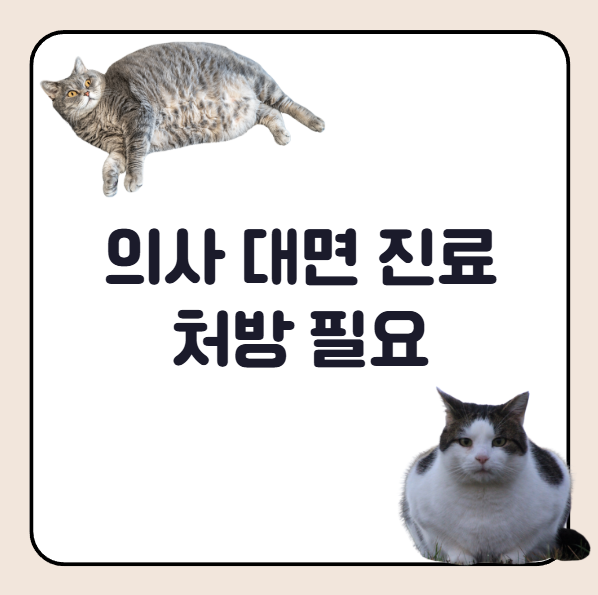 위고비 의사 처방 필요