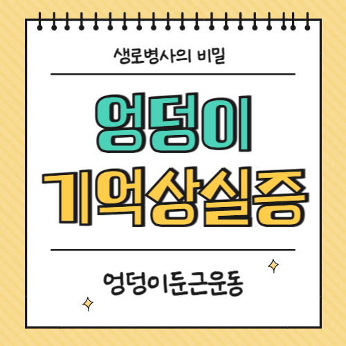 엉덩이 둔근 왜 중요할까? 오래 앉는 사람 필수 체크