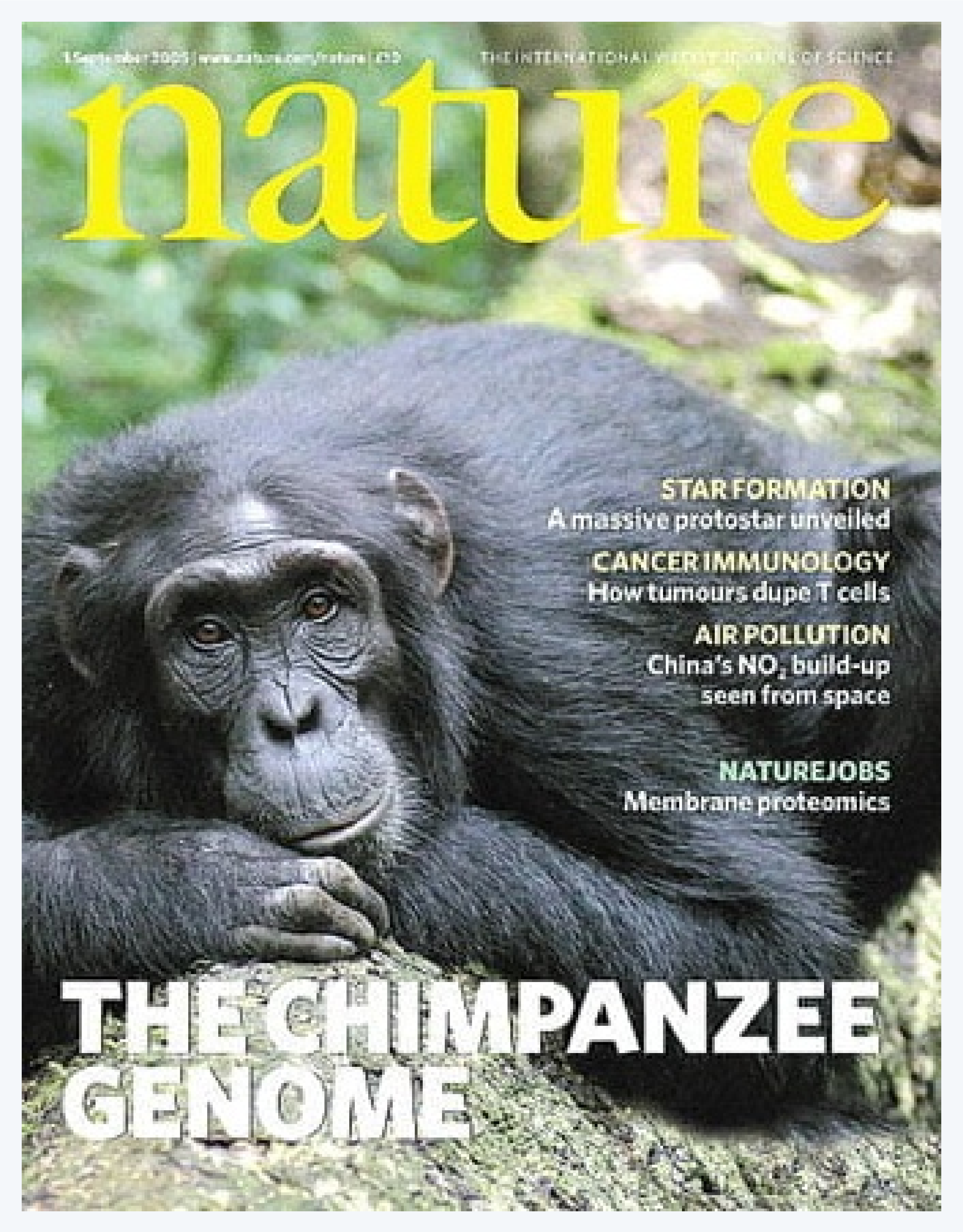 순천향대, 이용석 교수님