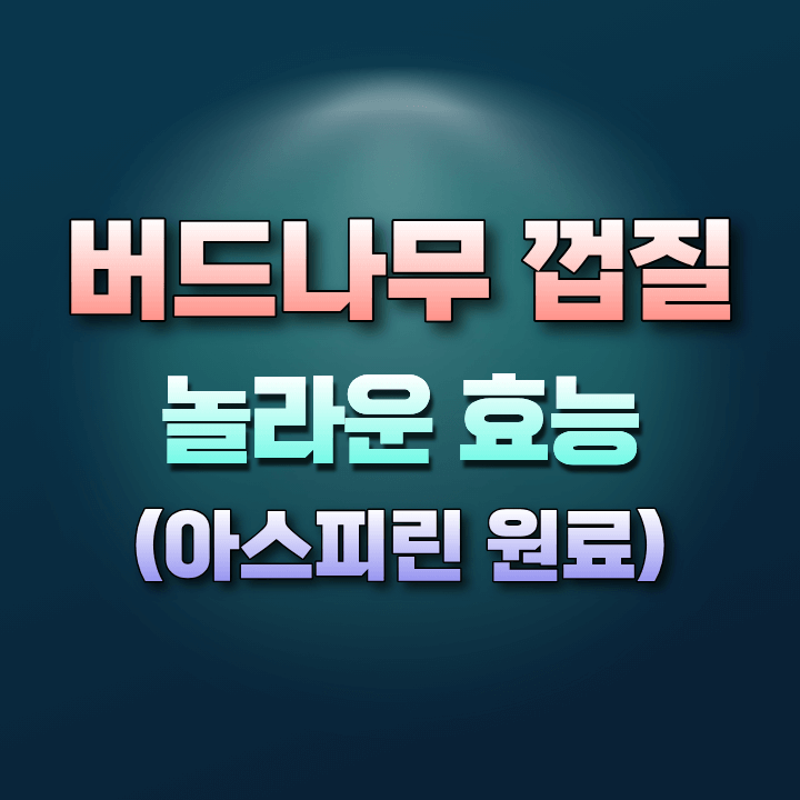 버드나무껍질의놀라운효능