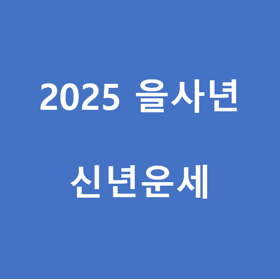2025 을사년 신년운세