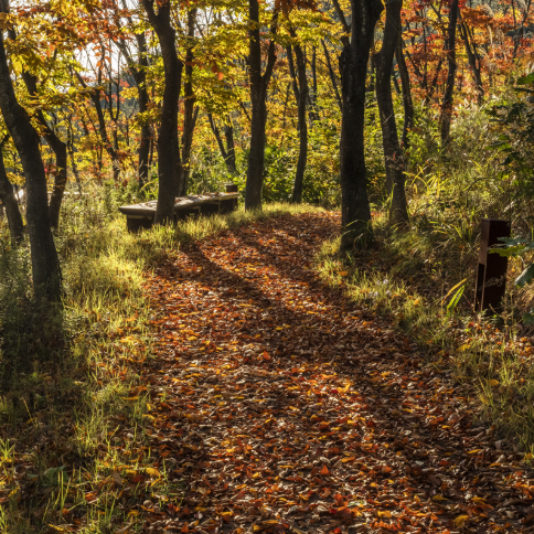 대구 군위 사유원 관람 예약
