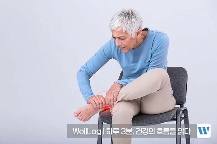 콘드로이친 효능