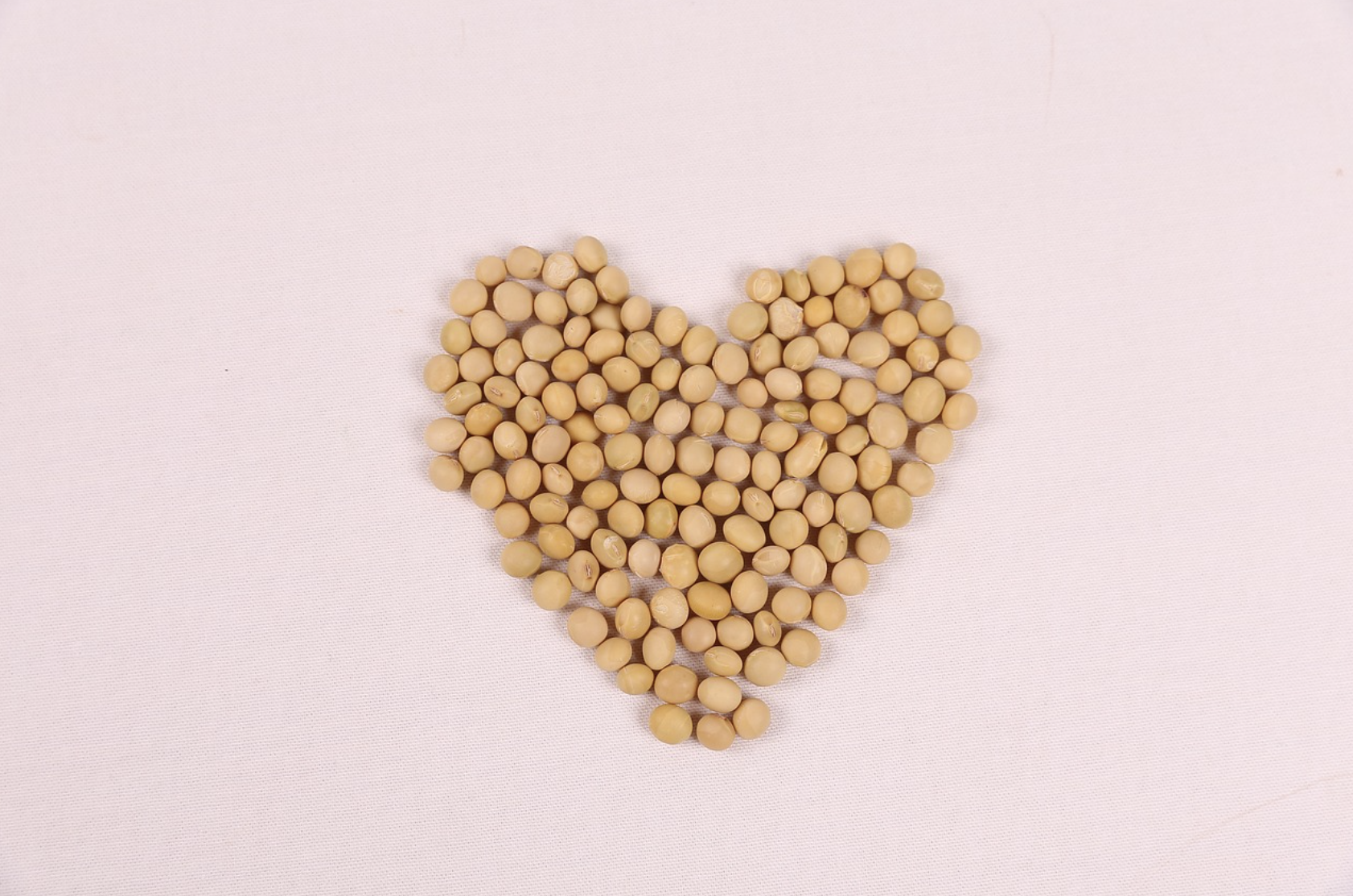 루피니빈 효능 및 부작용 ❘ 체중조절 및 당뇨 혈당 잡는 콩이라니4