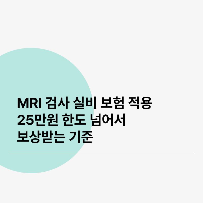 MRI 검사 실비 보험 적용&amp;#44; 25만원 한도 넘어서 보상받는 핵심 기준
