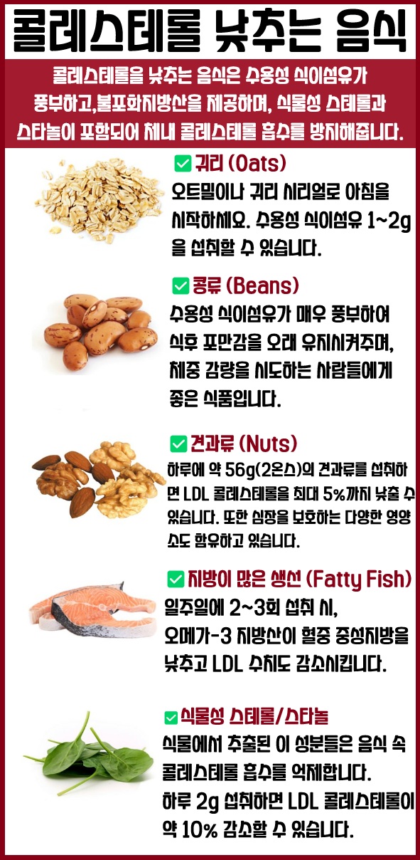 콜레스테롤 낮추는 음식