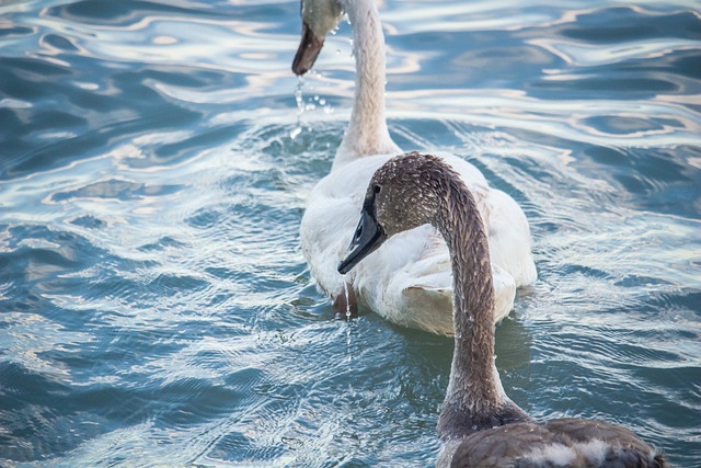 세계 물의 날 행사