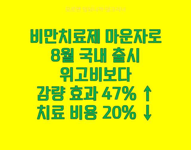 비만치료제 마운자로