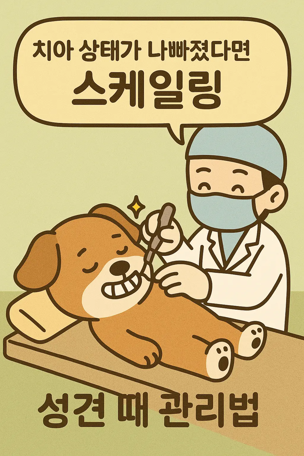 성견의 치아가 나빠졌다면 수의사와 함께 스케일링 관리하기