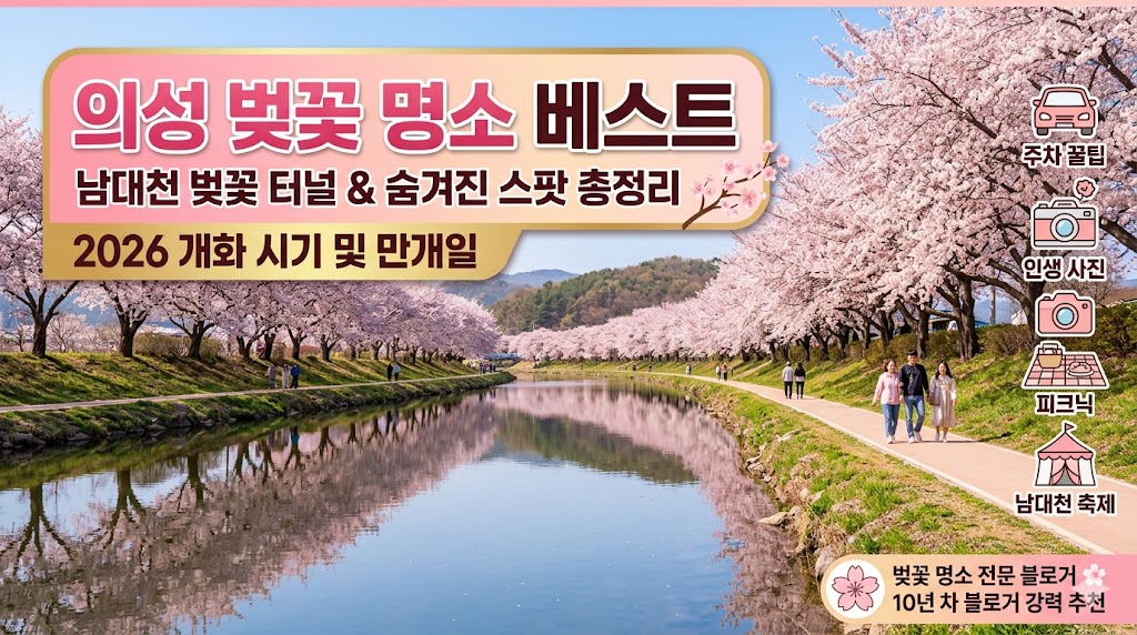 의성 벚꽃 명소