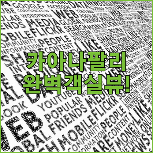 마우이 카아나팔리 해변 숙소 위치와 ..