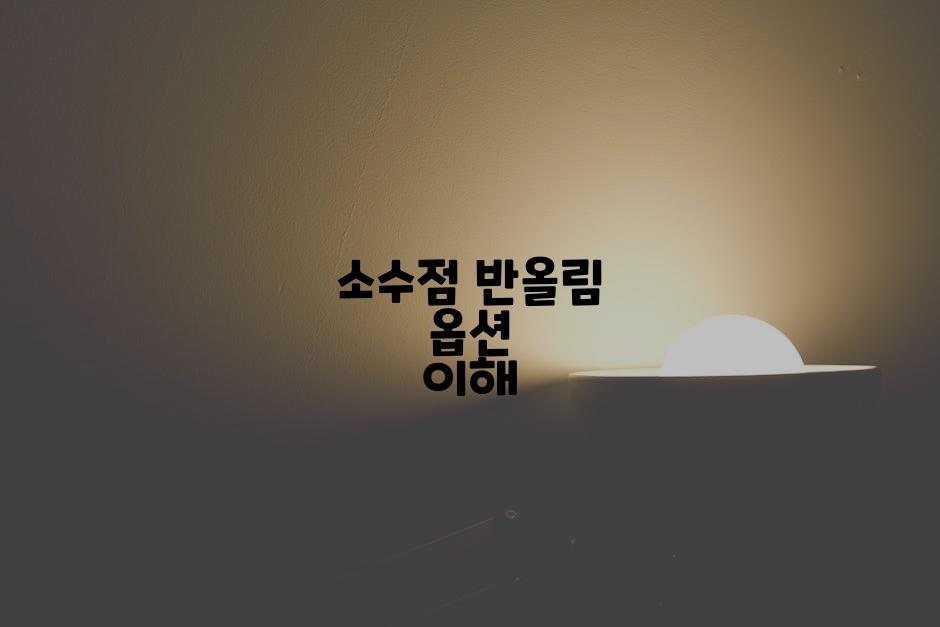 소수점 반올림 옵션 이해