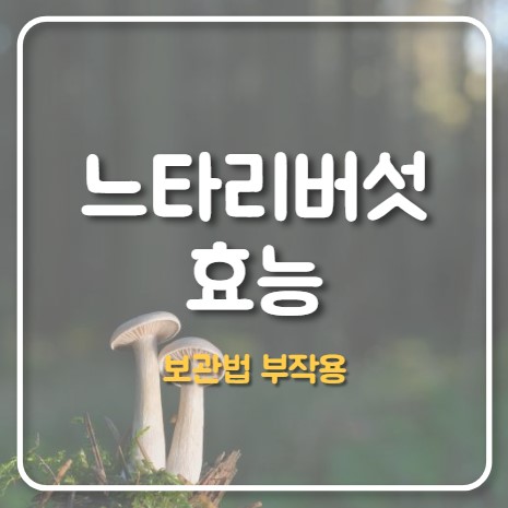 느타리버섯 효능