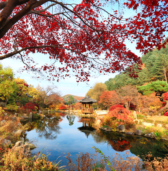 정원 풍경