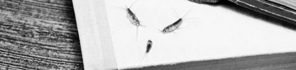 직접 제거, 접근 차단